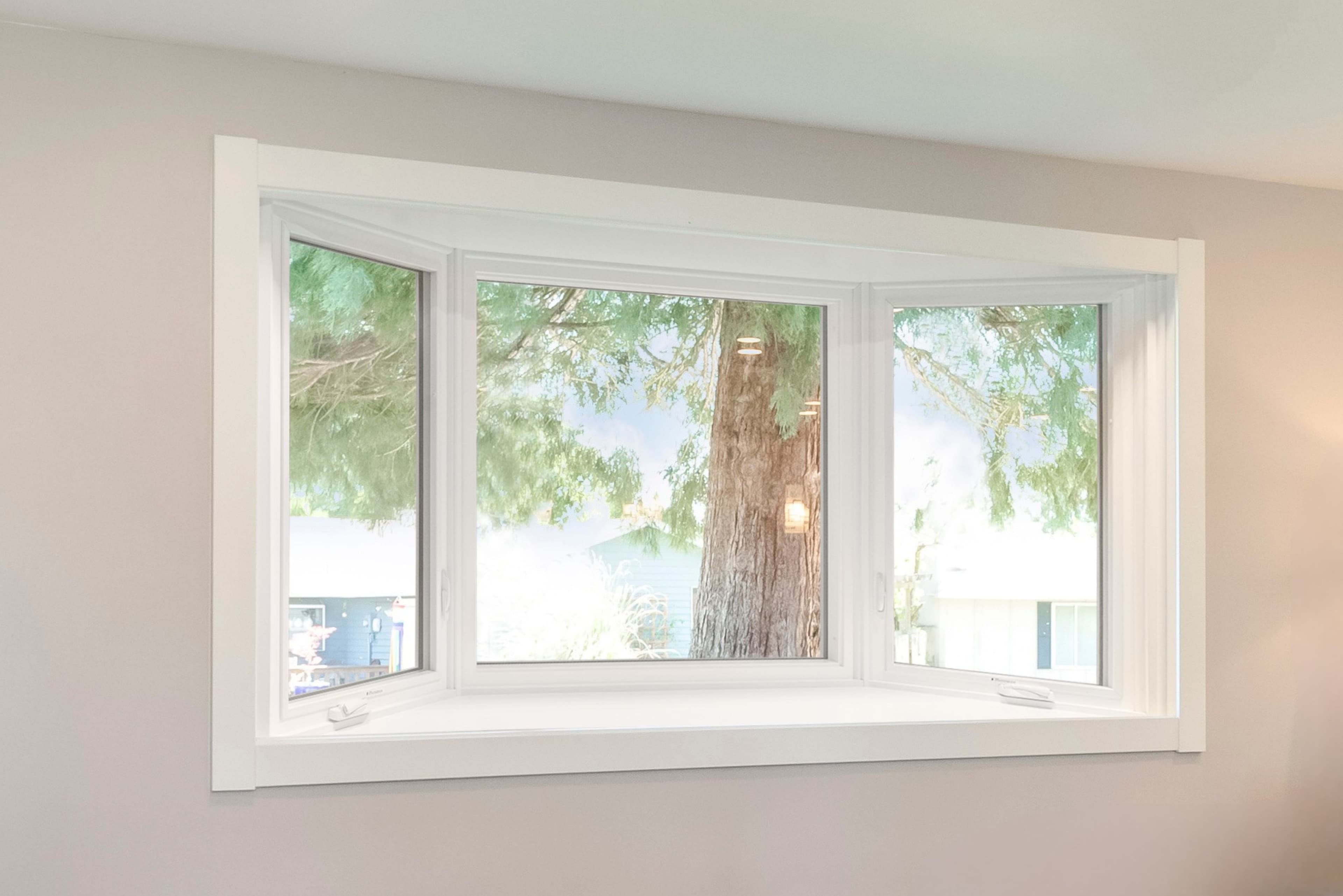 Clear, fog-free windows in a bright South Jersey living room.